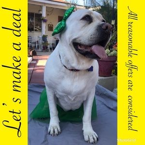 Make me an offer😬